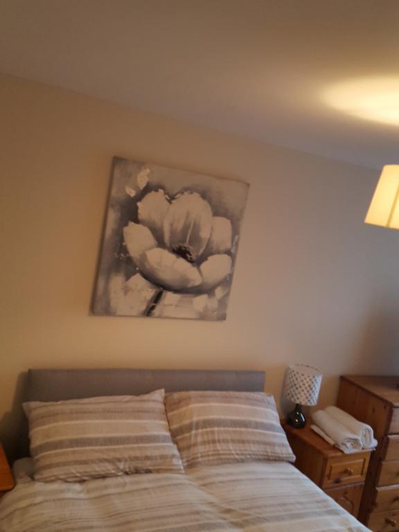 Castleton Gardens Apartments Belfast Luaran gambar